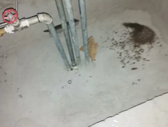 永嘉卫生间测漏水价格明细